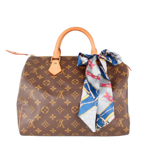 LOUIS VUITTON SPEEDY 30 MONOGRAM