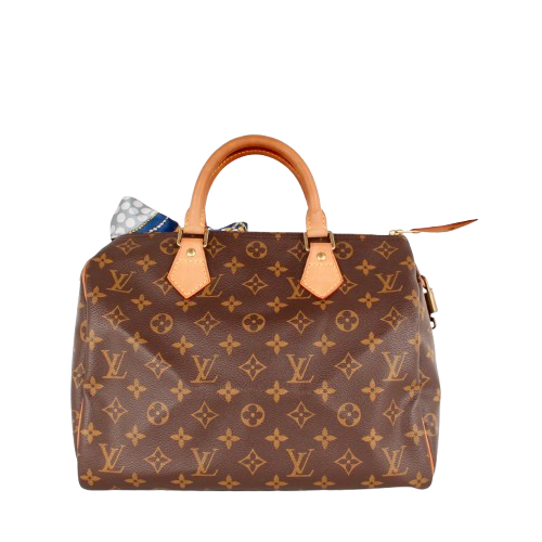 LOUIS VUITTON SPEEDY 30 MONOGRAM