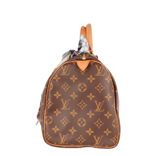 LOUIS VUITTON SPEEDY 30 MONOGRAM