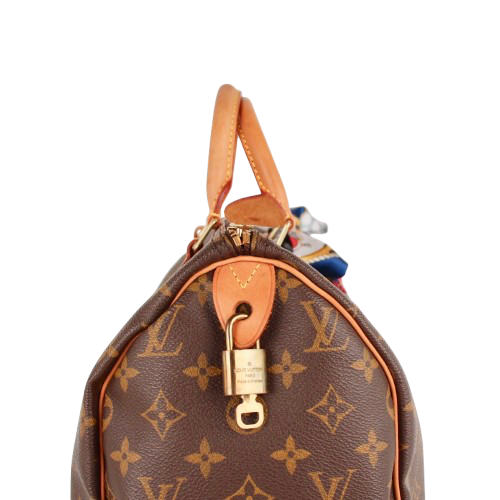 LOUIS VUITTON SPEEDY 30 MONOGRAM