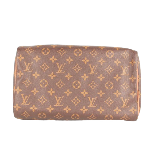 LOUIS VUITTON SPEEDY 30 MONOGRAM